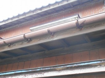 雨樋金具錆び