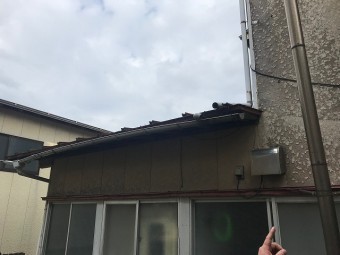 雨樋調査3